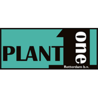 Plant one